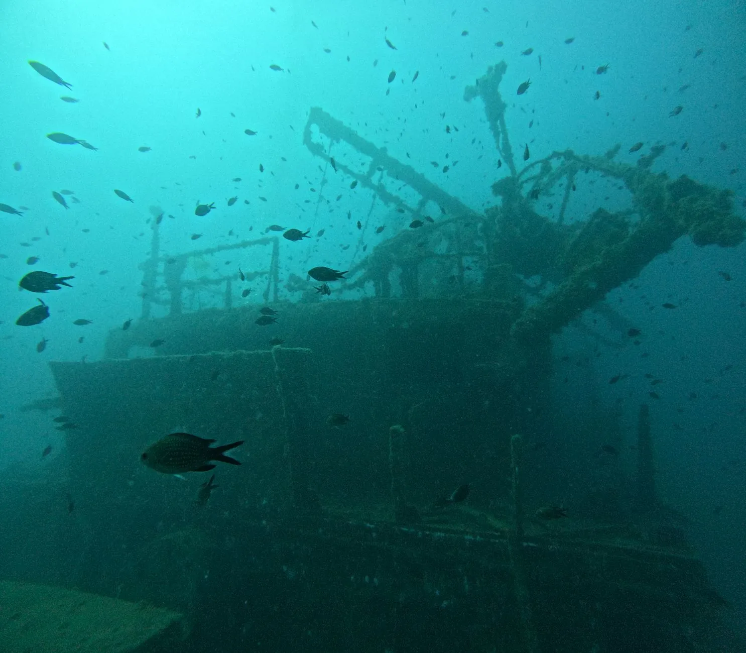 Plongée sur l'épave Zenobia : le trésor sous-marin de Larnaca