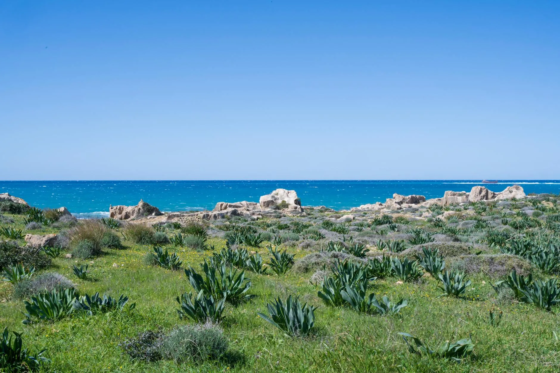 Randonnées et nature : la péninsule d'Akamas